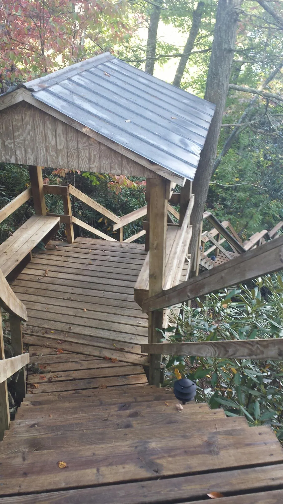 Metal roofed shelter over wooden steps on a wooded walkway — Skylight Repair & Installation work by our crew in Mountain Ranch