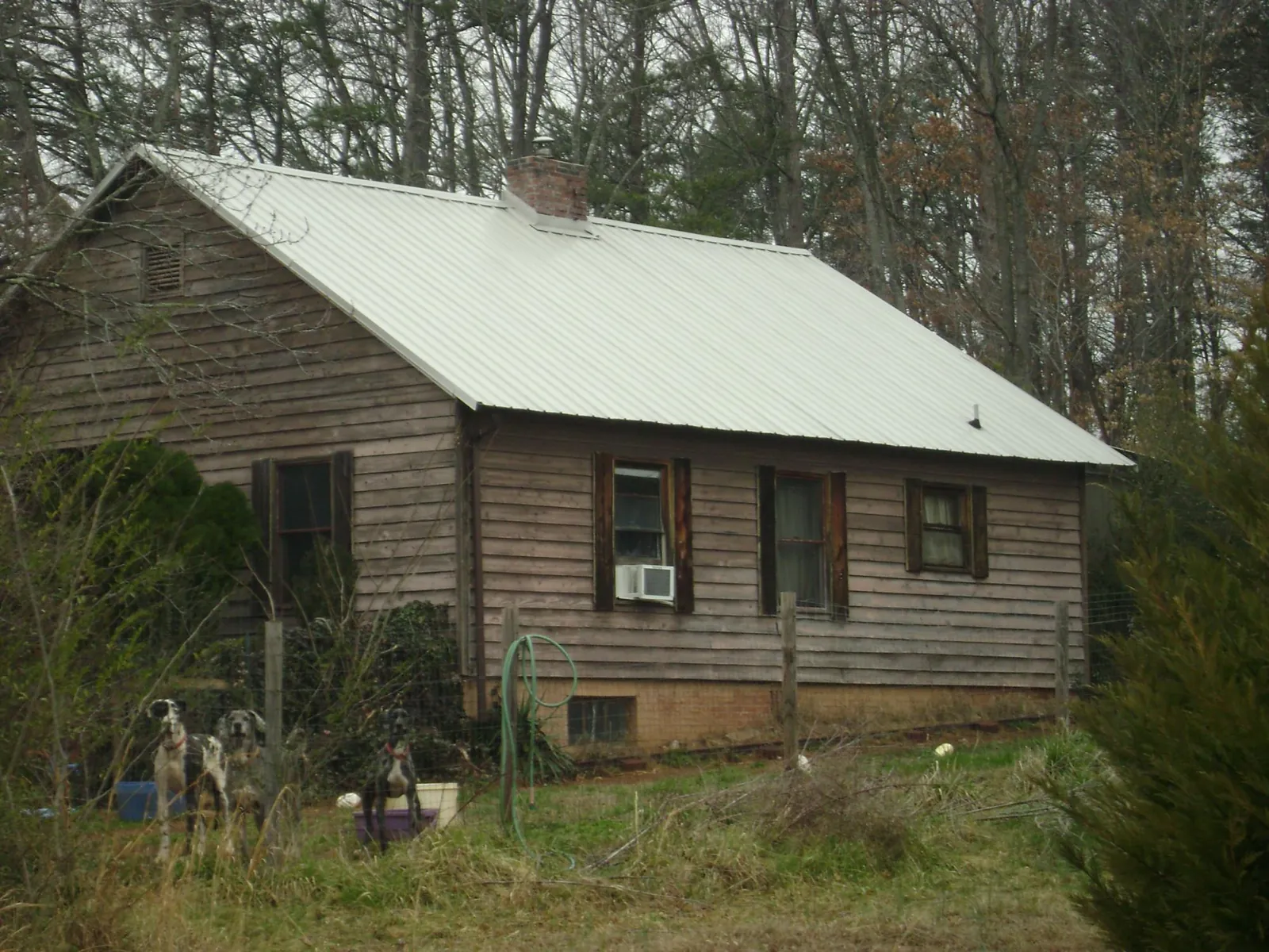 White metal roof on an old wood sided farmhouse, from a Metal Roof Installation job in Mountain Ranch